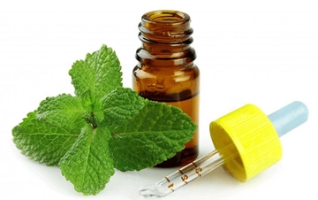 Nane Yağı Faydaları ve Kullanımı